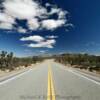 County Road 25.
Joshua Tree Forest.