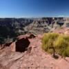 Guano Point.
(looking west)