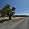 Another northern Arizona
backroad.
Coconino County.