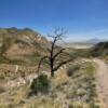 Ossified manzanita tree.
Miller Pass.
Coronado Park.