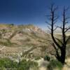 Beautiful vista-Miller Pass.
Coronado Park.