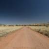 Looking west along 
Coronado Road.
Near the Mexican Border.