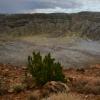 Meteor Crater.
(looking west)