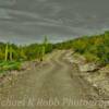 Pima County backroad-
Growler Hills, Arizona.