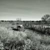 Homestead buggy~
Pipe Springs, Arizona.