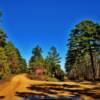 Central  Arkansas area forest-roads (Ouachita Mountains)