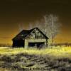 Old storage barn-near St Isadore, Alberta