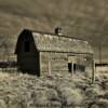 One of many of these such old barns throughout Alberta