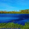 Small "crystal pond" near Hines Creek, Alberta