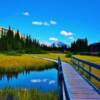 Scenic boardwalk-near Canmore, Alberta