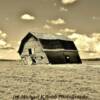 'Slanted barn' (c. 1933)
near St Paul, Alberta~