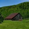 An old lean-to barn and horse.
Near Lacroixville, QC.