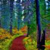 Picturesque hiking trail-along the Wells Grey Provincial Park Road