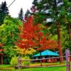 Summer Cottages-near Kingfisher, BC