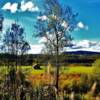 Typical northern British Columbia Ranch-near Burns Lake