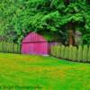 Picturesque "plush greenery"
near Chilliwack, BC