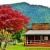 Zeballos Town Office-
Northern Vancouver Island~