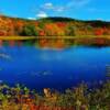 Autumn foliage-near Queenstown, New Brunswick