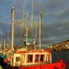 Newfoundland's Harbour Breton-in mid-November