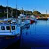 Placentia Harbour-late summer evening