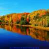 Foliage along the Salmon River-near Kemptown, Nova Scotia