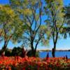 Keewatin Park-Kenora, Ontario (in late-September)