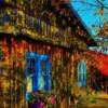 'Forget-Me-Not' Gift Shop-Rossport, Ontario