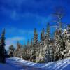 Early March-on a back road near Kirkland Lake, Ontario