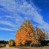 Brilliant autumn day 
along a northern Ontario
back road.