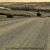 Saskatchewan's Grass Hills-south of Maple Creek (southwest Saskatchewan)