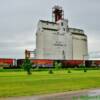 Dinsmore, SK grain elevator-on a wet overcast day~