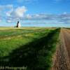 Dankin, SK Grain Elevators on a late June evening~