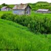 'Ghost town remnents' near Rock Glen, SK~