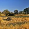 Once a horse stable barn.
Near Elk Creek, CA.