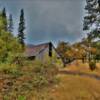 Old 'treasure'
Along Highway 36.
Shasta County, CA.