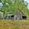 Classic 1920's stock barn.
Near Blocksburg, CA.