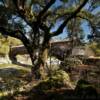 Wawona Covered Bridge.
(west angle-thru the oaks)
Over the South Yuba River.