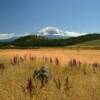 A northern angle of
Mount Shasta.
