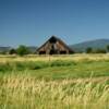 Classic 1930's A-Framed barn.
Near Susanville, CA.