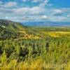 San Isabel National Forest~
Near Canon City, Colorado.