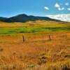 September ground foloage~
Amongst the foothills.