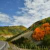 Some 'reds' along Highway 550 
(near Molas Divide)
South of Silverton, CO.