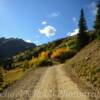 Ophir Forest Road.
'looking west' in the 
late evening.