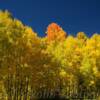 Sunshine Campground~
Near Telluride, CO.