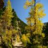 Crystal Mill Road~
Near Marble, CO.