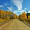 Routt National Forest~
Eastern Rio Blanco County, CO.