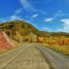 Colorado's Routt National Forest~
(In autumn).