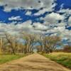 Beautiful scene along a
gravel county road.
Eastern Colorado.