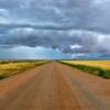 Stormy July afternoon.
Adams County, CO.