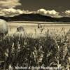 Central Colorado Hay Field-near Carbondale, Colorado